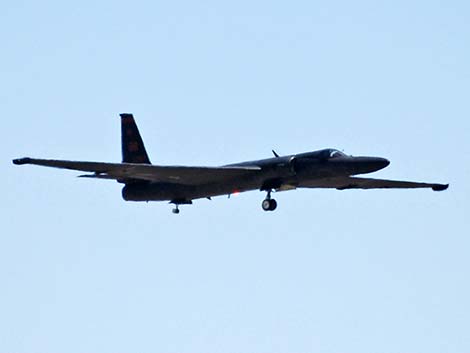 U-2S 087