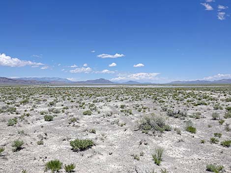 Basin and Range National Monument