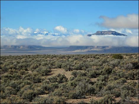 Basin and Range