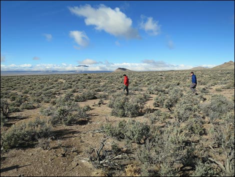 Basin and Range National Monument