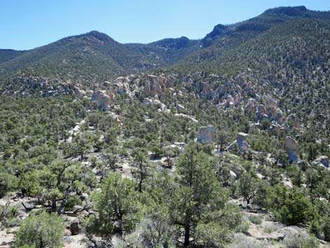 Basin and Range National Monument