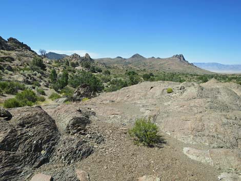 Basin and Range National Monument