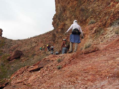 Bootleg Canyon Area Hikes