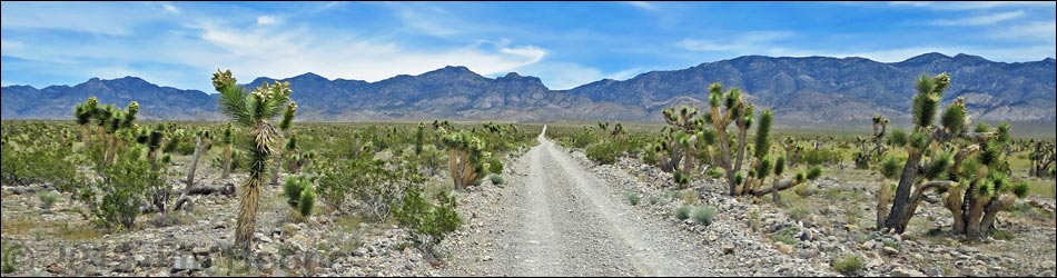 Desert National Wildlife Range