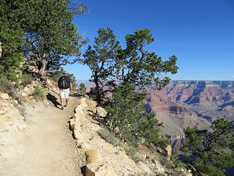 Rim Trail