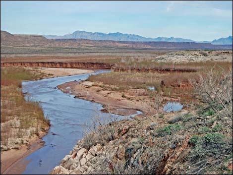 Gold Butte