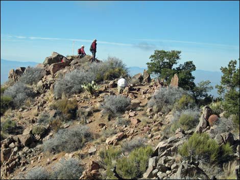 Gold Butte National Monument