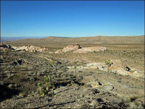 Gold Butte