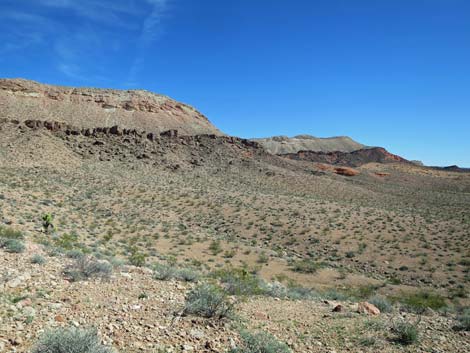 Gold Butte National Monument