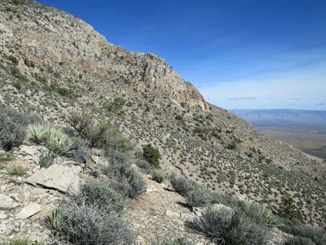 Gold Butte National Monument