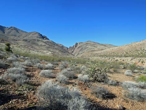 Gold Butte National Monument