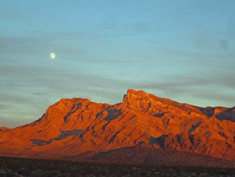 Gold Butte National Monument