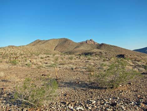 Lake Mead National Recreation Area