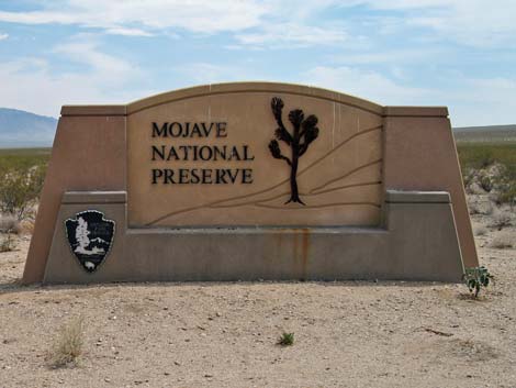 Mojave National Preserve