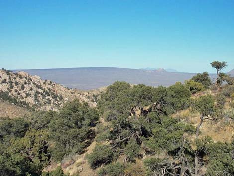 mojave national preserve