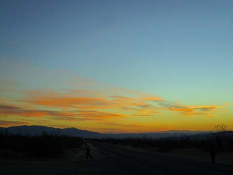 Mojave National Preserve