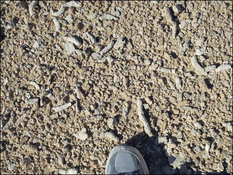 Tule Springs National Monument