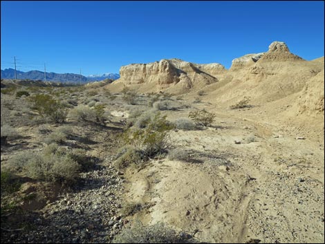 Tule Springs National Monument