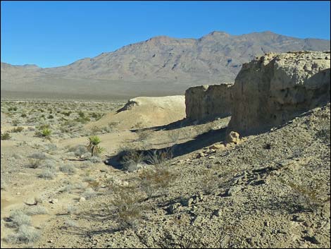 Tule Springs National Monument