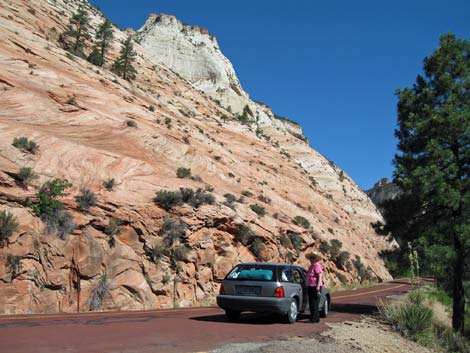 Zion National Park