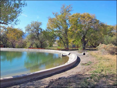 Birding Corn Creek