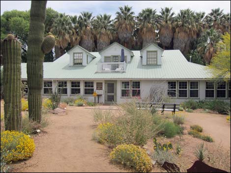 Hassayampa River Preserve