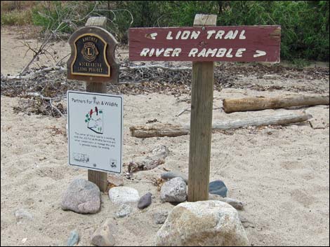 Hassayampa River Preserve