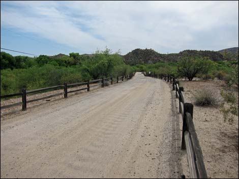 Hassayampa River Preserve