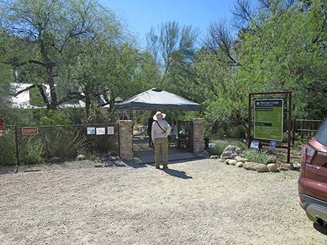 Hassayampa River Preserve