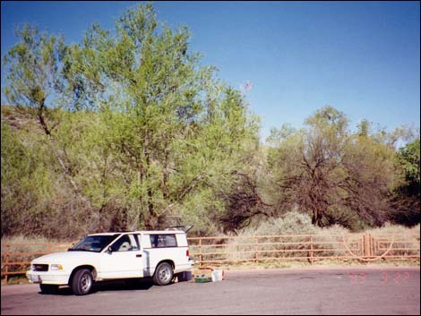 Hassayampa Roadside Rest Area