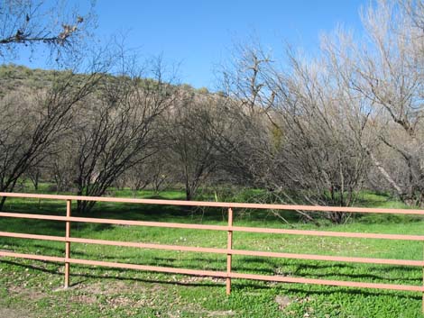 Hassayampa Roadside Rest Area