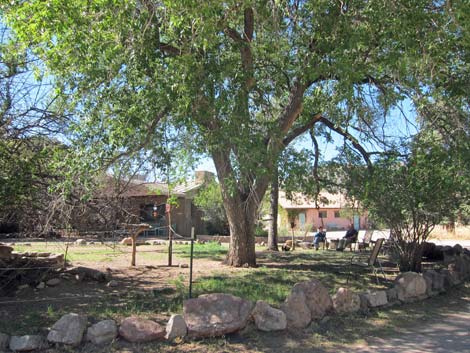 Cave Creek Ranch