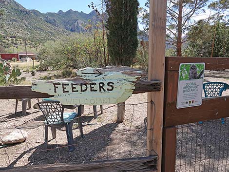 Jasper House Feeders