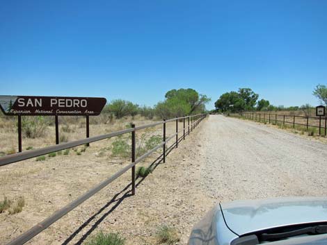 San Pedro Riparian NCA