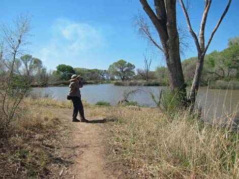 San Pedro Riparian NCA