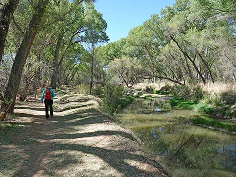 San Pedro Riparian NCA