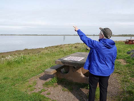 Arcata Marsh