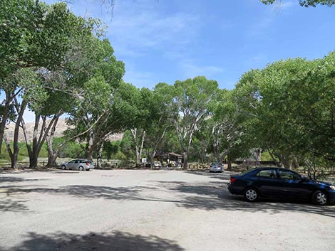 Big Morongo Canyon Preserve