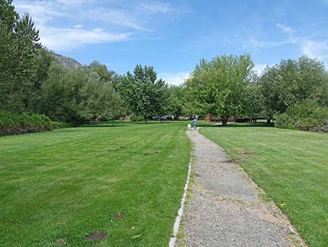 Boardwalk Trail