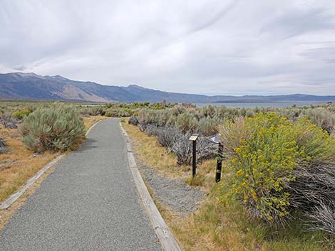 South Tufa Towers Trail