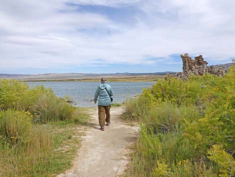 South Tufa Towers Trail