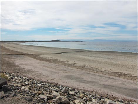 Salton Sea