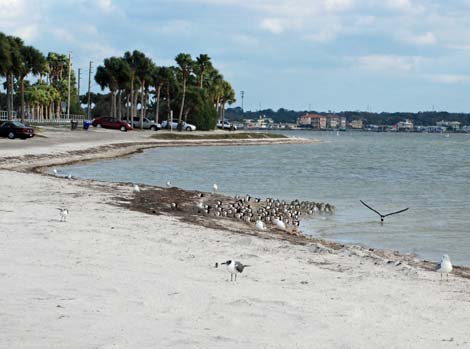 Dunedin, Florida