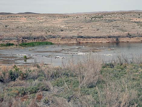 33 Hole Picnic Area