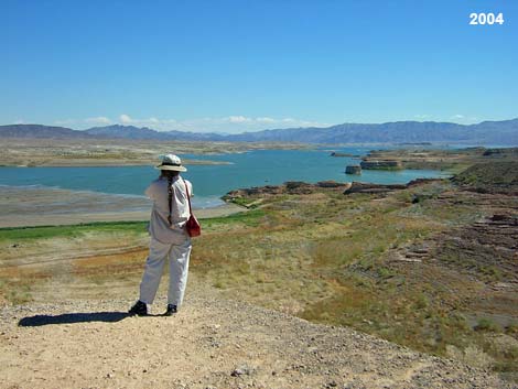 Las Vegas Wash Scenic Overlook and Picnic Area