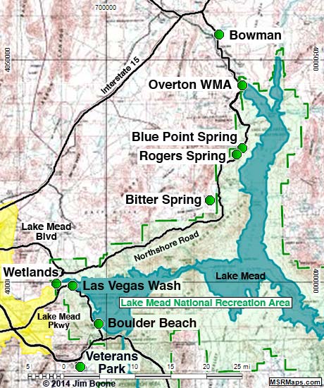 Birding Around Lake Mead - Overview