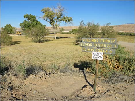 Overton Wildlife Management Area