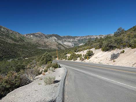 Lower Kyle Canyon