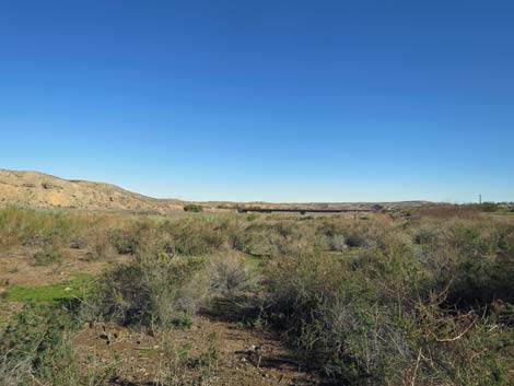 Virgin River Birding