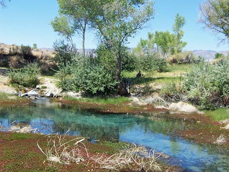 Crystal Spring